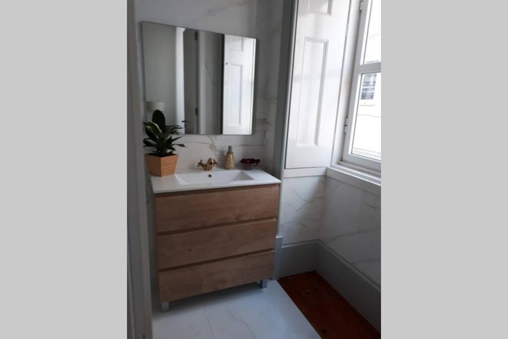 Ficus Aurea Apartment Aveiro Exterior photo